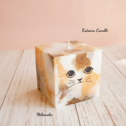 Cute cat cube 2枚目の画像