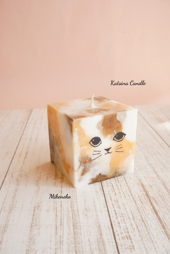 Cute cat cube 2枚目の画像