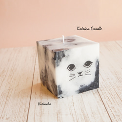 Cute cat cube 3枚目の画像