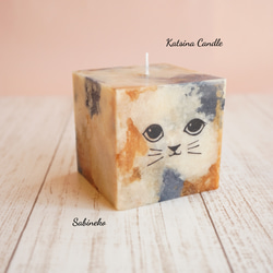 Cute cat cube 4枚目の画像