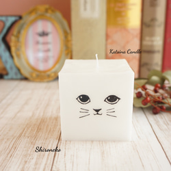 Cute cat cube 5枚目の画像