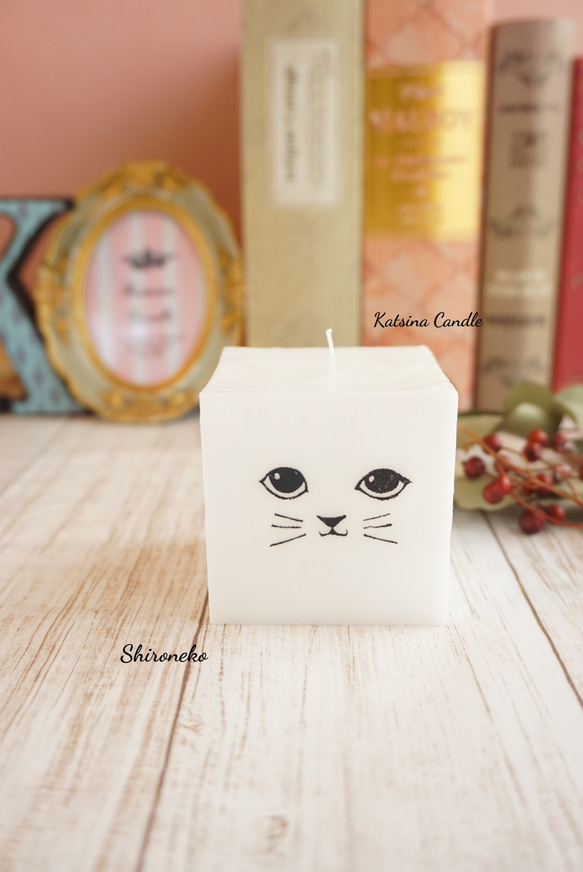 Cute cat cube 5枚目の画像