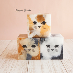 Cute cat cube 6枚目の画像