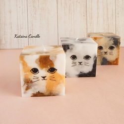 Cute cat cube 7枚目の画像