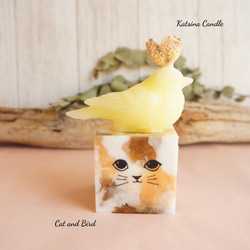 Cute cat cube 8枚目の画像