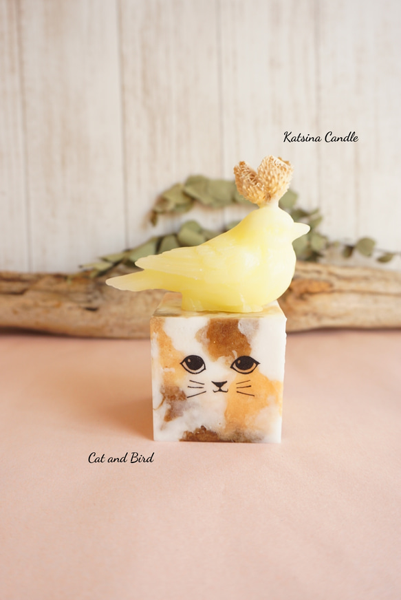 Cute cat cube 8枚目の画像