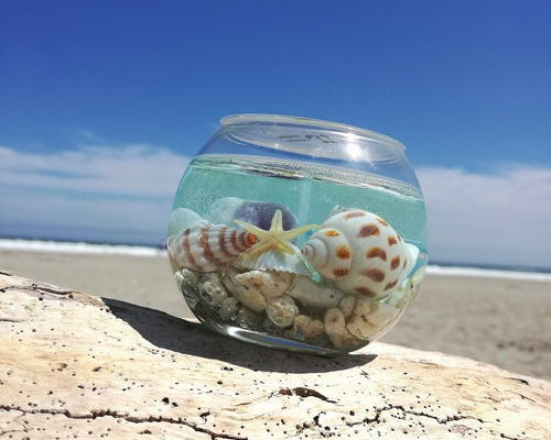 ハワイアンキャンドル釜 ボタニカル・グラスキャンドル | ハワイアン