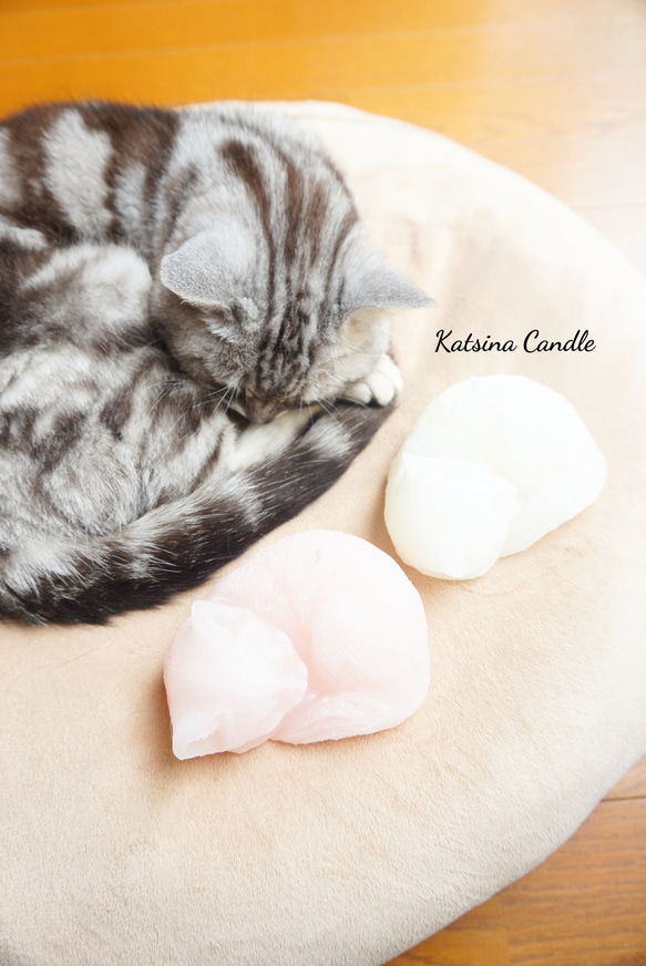 【ｷﾞﾌﾄBOX】夢見る子猫のキャンドル 9枚目の画像