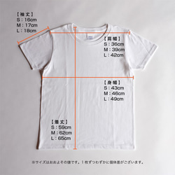 プリントTシャツ レディース 白（Anything is Possible / シンプルデザイン）サイズ選択可 4枚目の画像