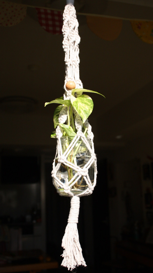 Plant Hanger 2 beads 1030 2枚目の画像