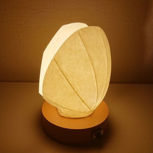N craft　夜光貝の殻12個 afe0bca0822098cd7821627fd3f855