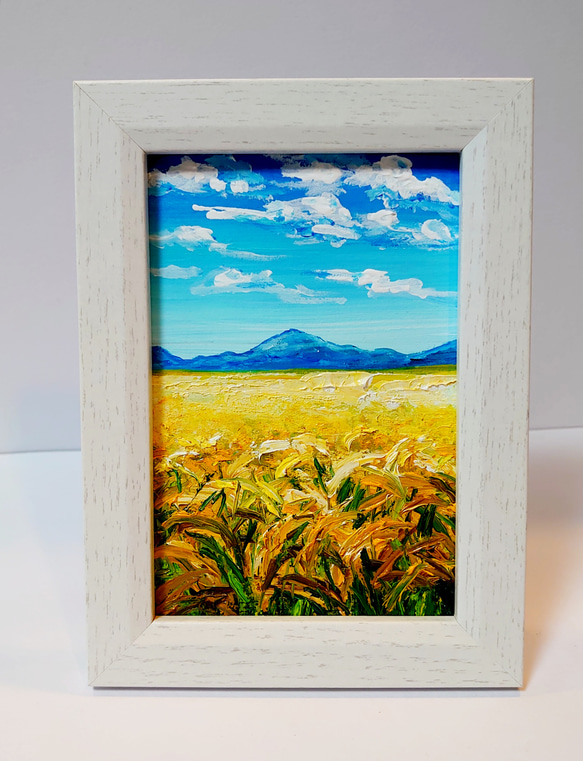 油絵 ハガキ絵画額付き【空と雲の田んぼ】 絵画 HR 通販