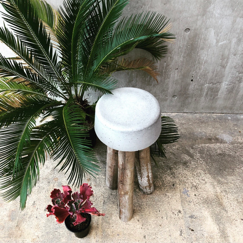 単品購入可 【コンクリートスツール】サスティナブル オブジェ植物
