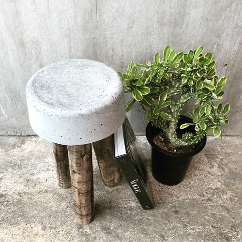 コンクリートスツール 52】サスティナブル オブジェ 植物 庭