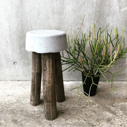 コンクリートスツール 46】サスティナブル オブジェ 植物 庭