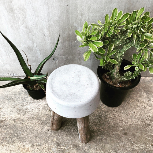 コンクリートスツール 36】サスティナブル オブジェ 植物 庭
