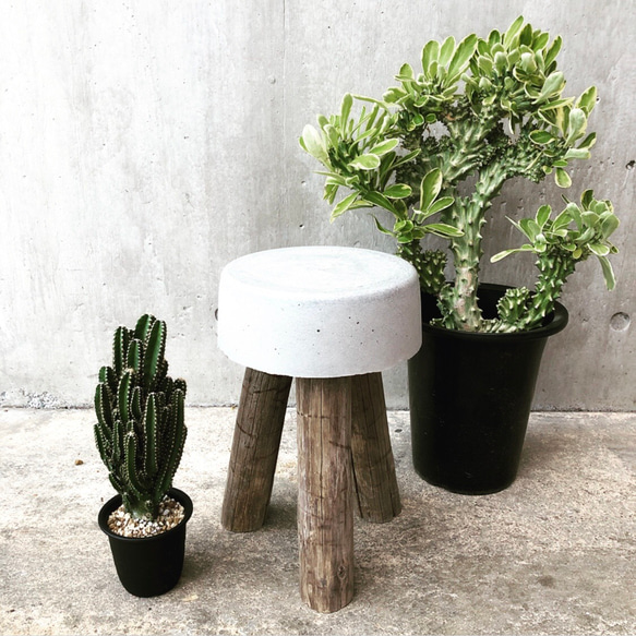 コンクリートスツール 32】サスティナブル オブジェ 植物 庭