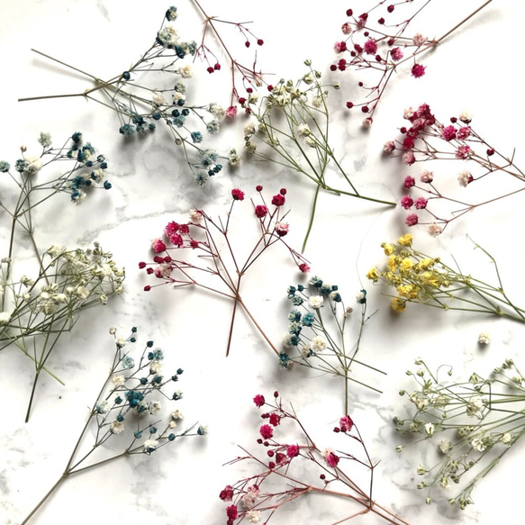 パール‎‎様◇【訳あり】かすみ草♡（ 723 ドライフラワー パーツ