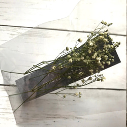 【ドライフラワー】かすみ草　ホワイト　花材　ドーム　レジン　ハーバリウムにおすすめ 3枚目の画像