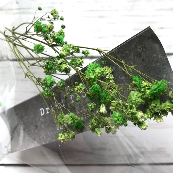 【ドライフラワー】かすみ草　メロン　花材　ドーム　レジン　ハーバリウムにおすすめ 3枚目の画像