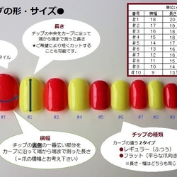 No.43 ハウスチェックとテラコッタのネイルチップ 4枚目の画像