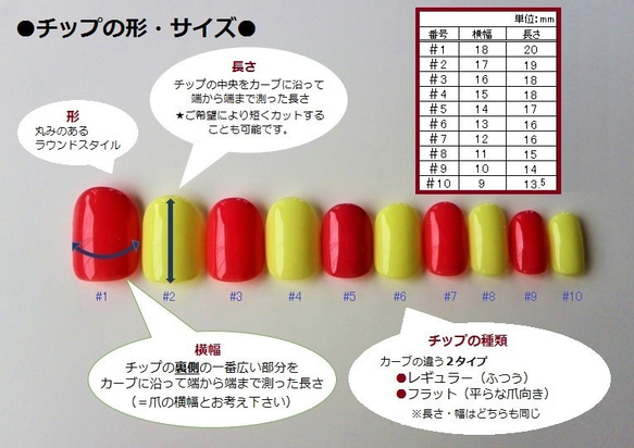 No.8 南天のネイルチップ 3枚目の画像