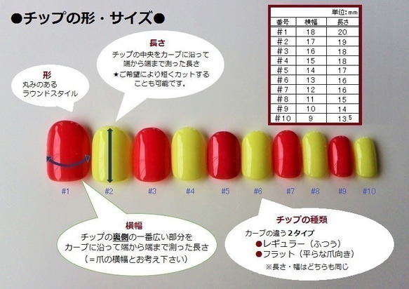 No.39 北欧風 白い椿のネイルチップ 4枚目の画像