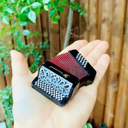 【カスタムオーダー】黒いアコーディオンのマグネット 6枚目の画像