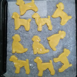 クッキー型/クッキーカッター　わんちゃんシリーズ（プードルテディーベアカット） 4枚目の画像