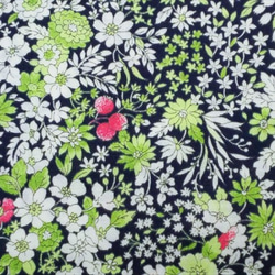スケア 生地 布【50×110cm】 花柄 小さな花 かすみ草 可愛い ボタニカル ブラック 1枚目の画像