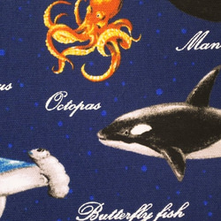 0_844ea6db94722febf2df037e707b