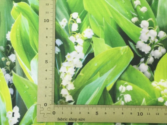 シーチング生地 布【50×110cm】 すずらん スズラン 花柄 植物 リアル デジタルプリント グリーン 5枚目の画像