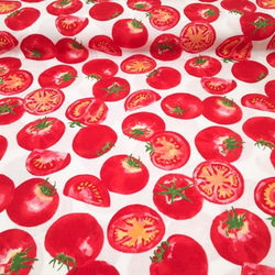 シーチング生地 布【50×110cm】トマト 夏 野菜 カラフル  元気 おしゃれ コットン 赤 レッド 白 ホワイト 3枚目の画像