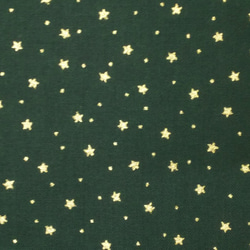 シーチング生地【50×110cm】 星 星柄 スター 金ラメ 冬 クリスマス Xmas 小さい柄 緑 グリーン 1枚目の画像