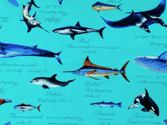 オックス生地【50×110cm】 海 ジンベイザメ イルカ エイ 魚 オックス