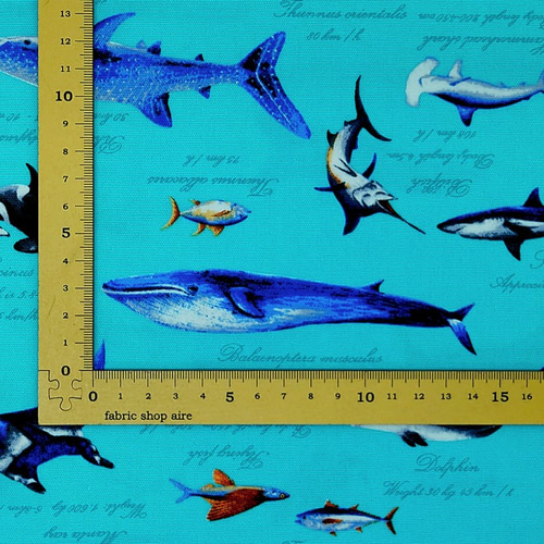 オックス生地【50×110cm】 海 ジンベイザメ イルカ エイ 魚 オックス