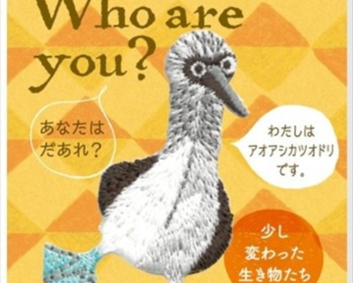 刺繍ワッペン アオアシカツオドリ 鳥 とり 動物 アップリケ