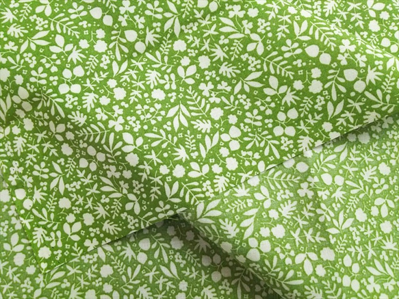 小柄な植物　～植物のシルエット～　【グリーン】 4枚目の画像