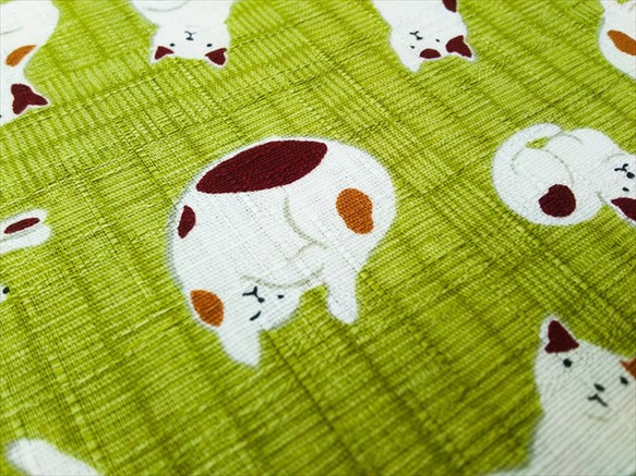畳の上のネコ【ドビー】 3枚目の画像
