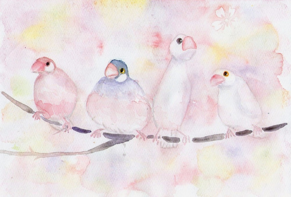 文鳥～水彩画 絵画 KASEN 通販 3387529｜Creema(クリーマ)