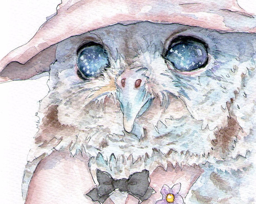 0_a558b7543aef40ff0c75c32404a2