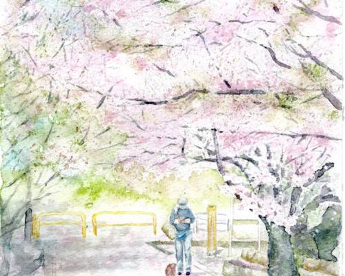残り桜～水彩原画 絵画 KASEN 通販 5431044｜Creema(クリーマ)