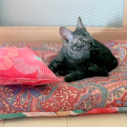 受注製作　猫 犬 動物 ペット 人形 布団  一点物 ②青色系 ベッド オーダーメイドOK プレゼント 10枚目の画像