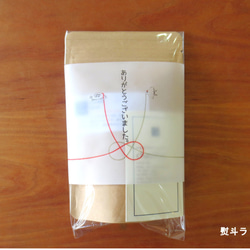 ブレンド変更/chasitsuのライチ紅茶 マグ用ティーパック商品　[ゆうパケット可]（ティーパック商品は春限定） 5枚目の画像
