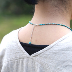 【受注制作】旅するイルカ（ネックレス） 5枚目の画像