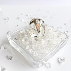 【受注制作】森の木漏れ日（リング・SV925製） 2枚目の画像