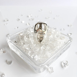 【受注制作】森の木漏れ日（リング・SV925製） 5枚目の画像