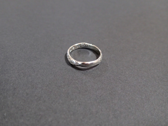 雨上がり（リング・wide） 2枚目の画像