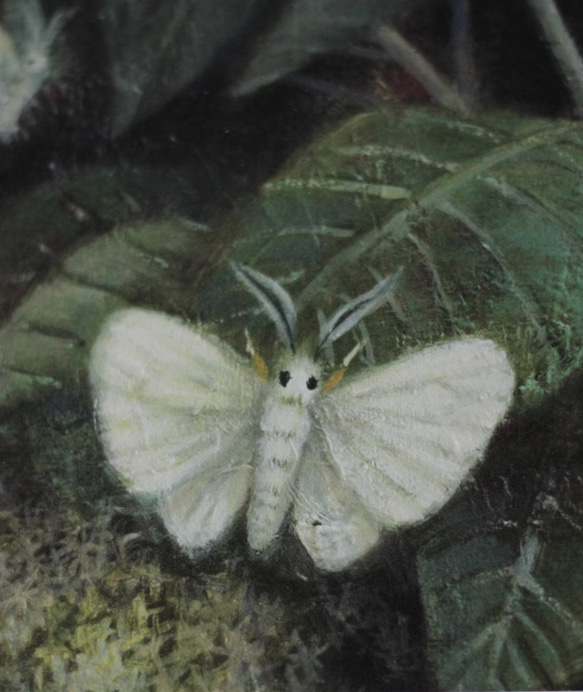 ミズキと白い蛾 / Mizuki and white moths 2枚目の画像