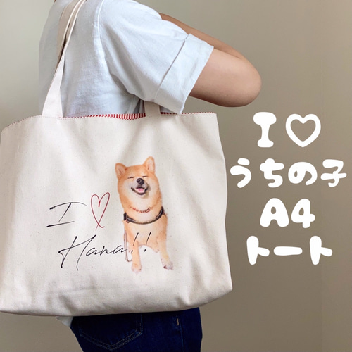 専用ご案内中うちの子お散歩バッグ♡プードル ネーム入り